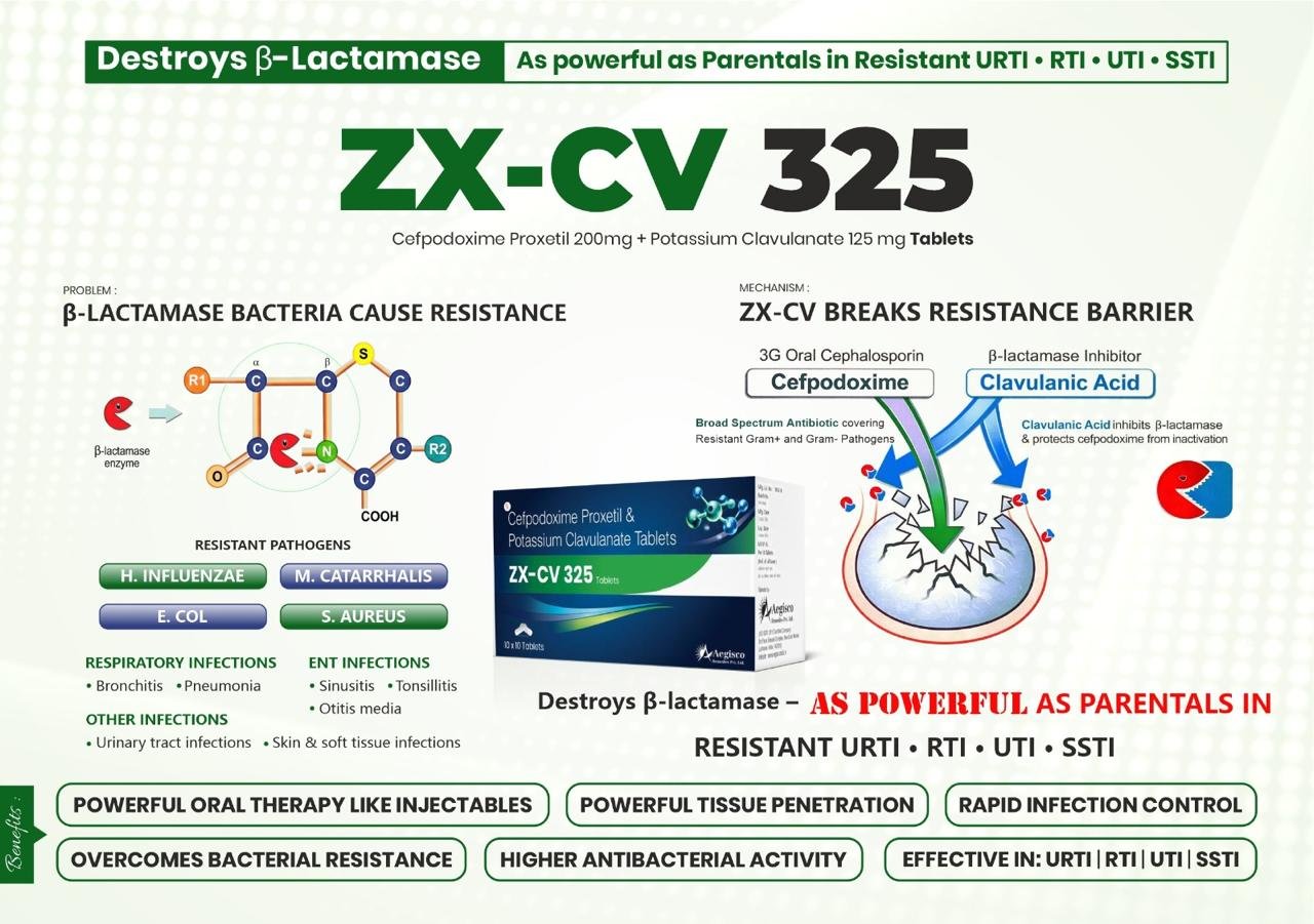 ZX-CV 325